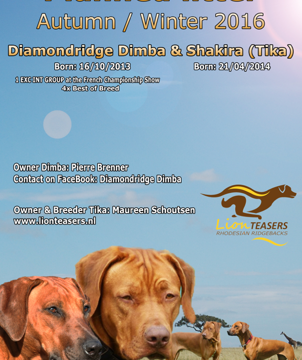 Reu bekend: Diamondridge Dimba