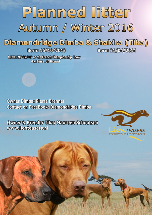 Reu bekend: Diamondridge Dimba
